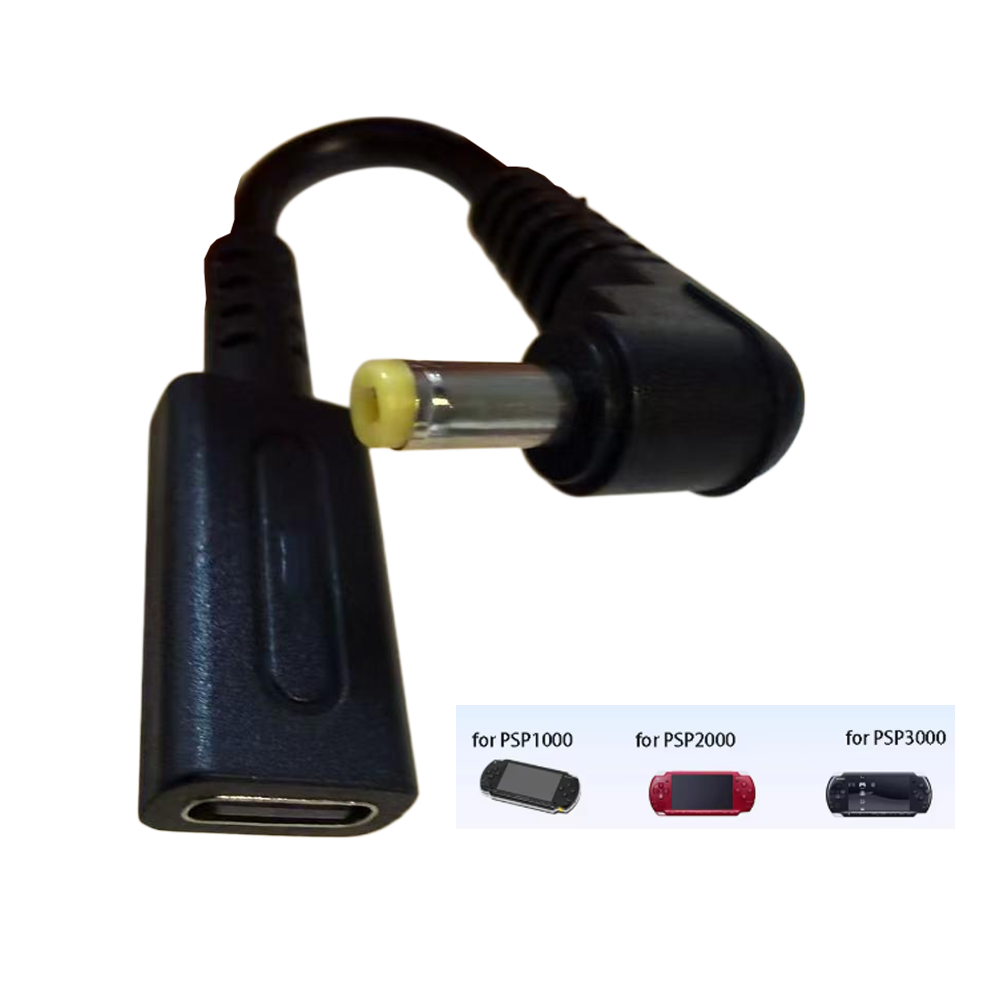 Gaming Console And Controller - Cavo di Ricarica USB-C 45W PD